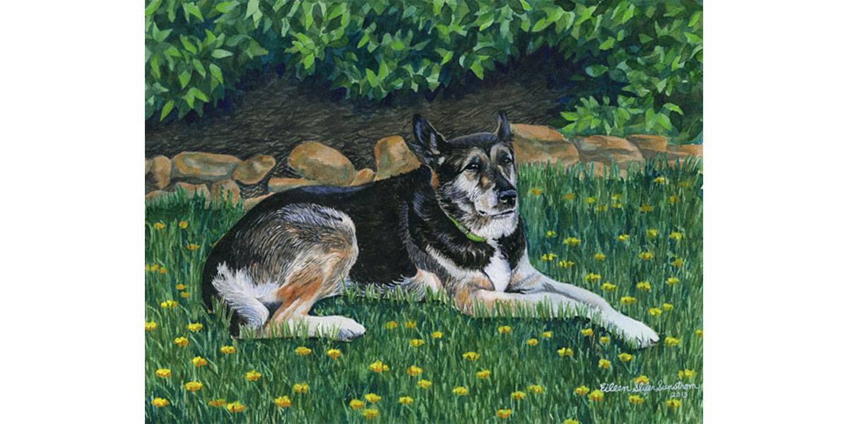 Watercolor Pet Portrait German Shepherd